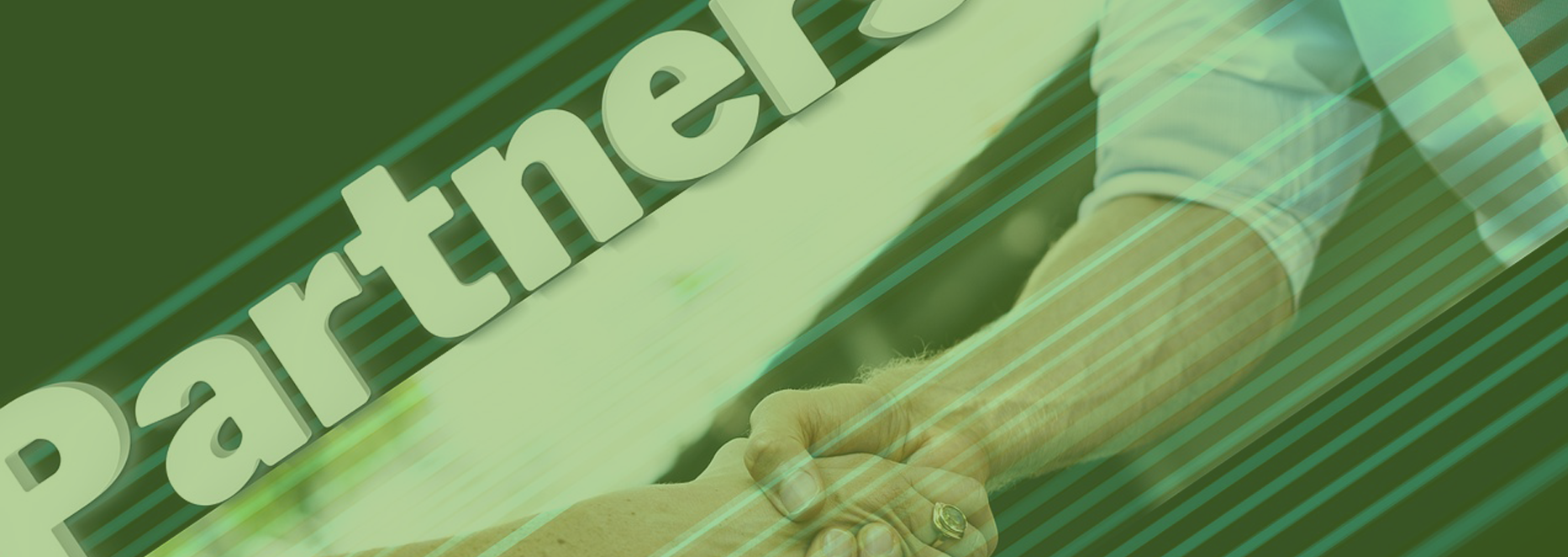partners